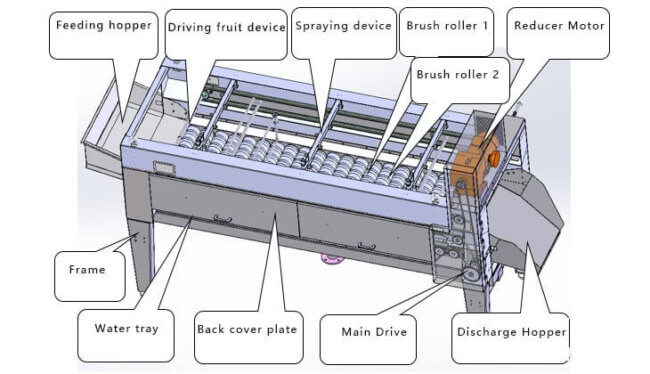 How to clean fruit: fruit brush and spray cleaning machine