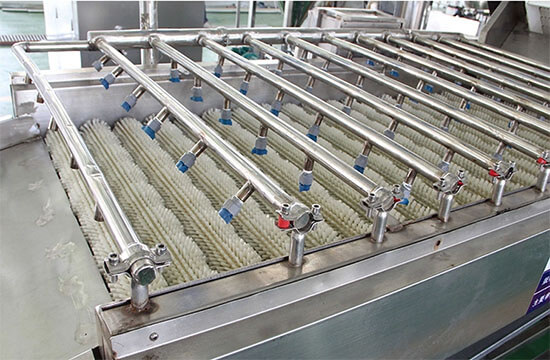 Citrus Brush Washer - Citrus Processing