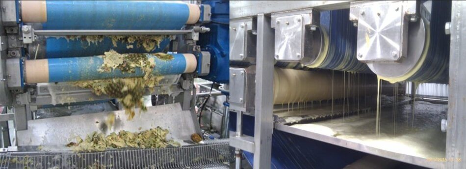Belt press for pineapple juice processing line