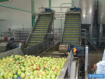 apple or pear washing machine