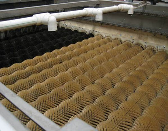 Vegetable and Produce Roller Brush