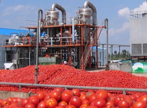 Force circulation evaporator for tomato paste processing