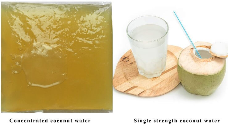 concentrated coconut water and single strength coconut water