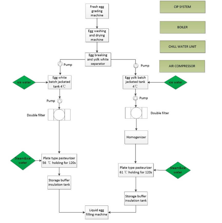 egg yolk and white processing flowchart