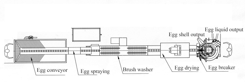 Liquid egg processing line