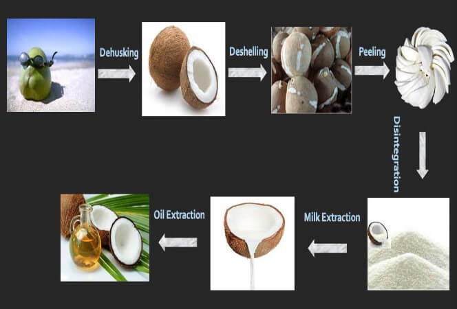 Virgin Coconut Oil Processing Line