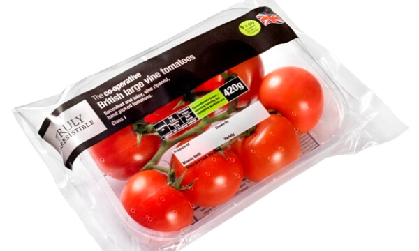 fresh tomatoes packing