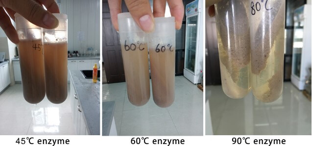 Banana juice enzymatic hydrolysis