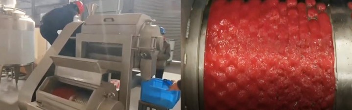 strawberry fruit pulping machine