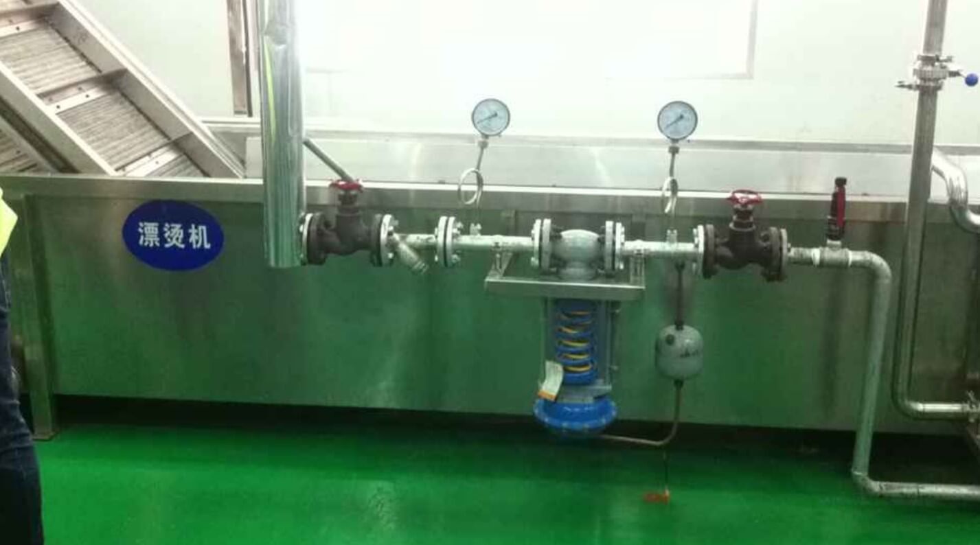 coconut meat blanching machine