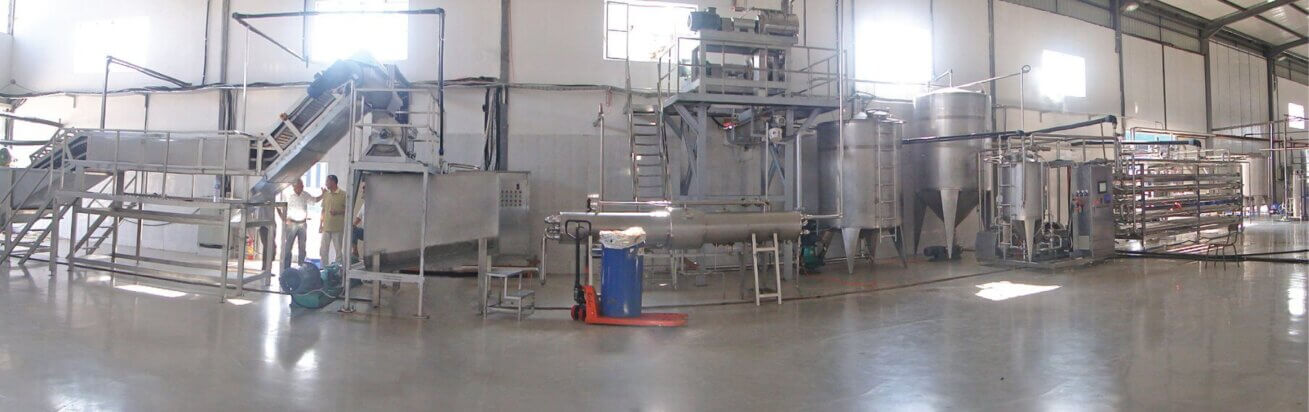 tomato juice processing system