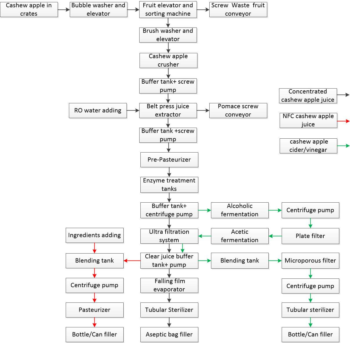 Cashew apple juice processing line flowchart