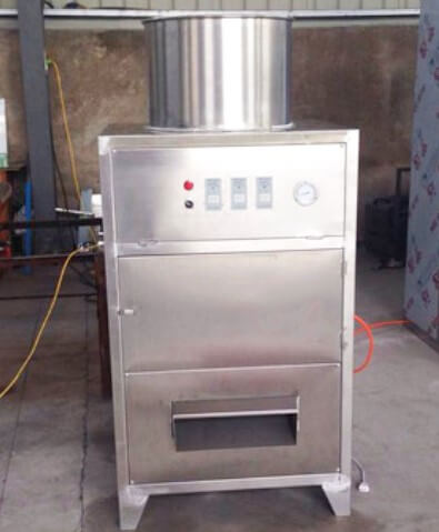 Ginger Garlic Production Line/Machine - IBC MACHINE