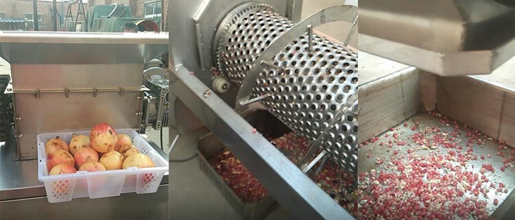 Fresh Pomegranate Peeler Machine Prickly Pear Seeds Extracting Machine  Fruit Seed Deseeder Peeler For Industry Plant Processing - Buy Fresh Pomegranate  Peeler Machine Prickly Pear Seeds Extracting Machine Fruit Seed Deseeder  Peeler