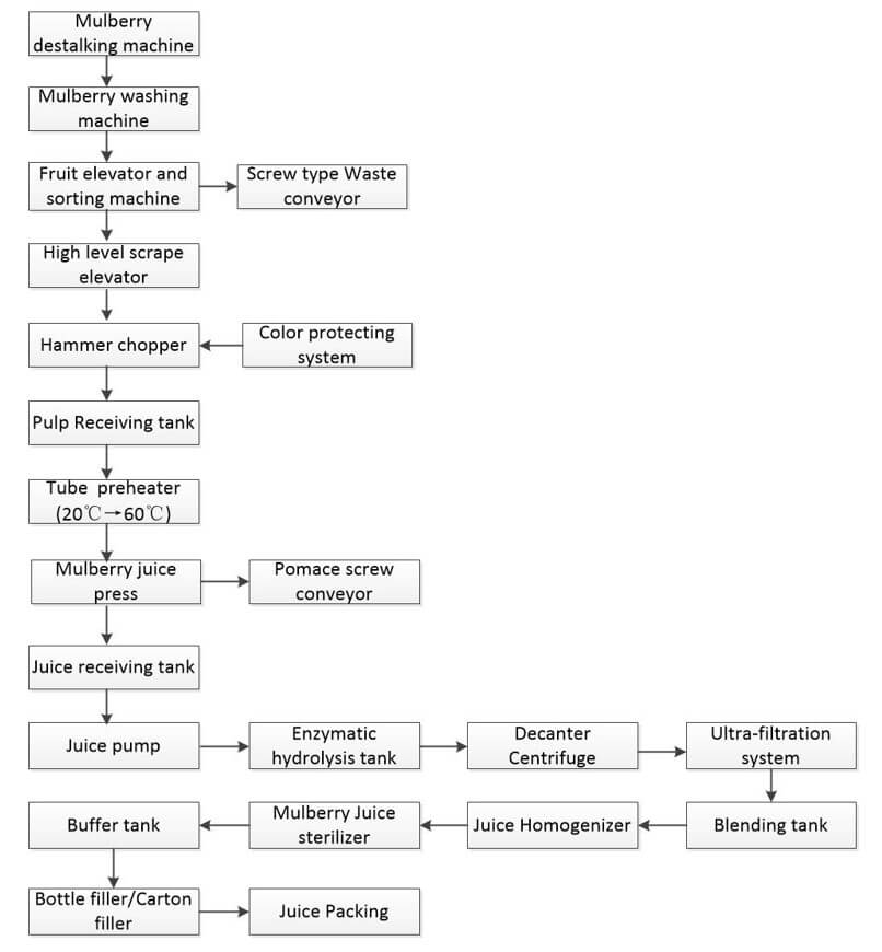Mulberry processing technological flowchart