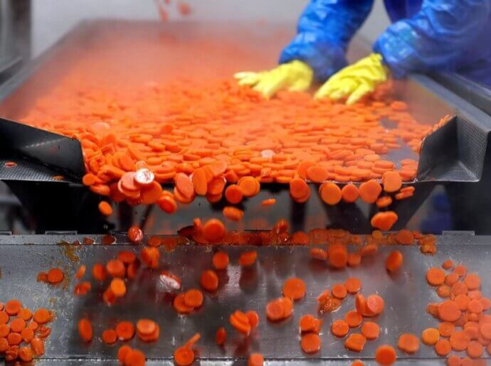 carrot slicing machine