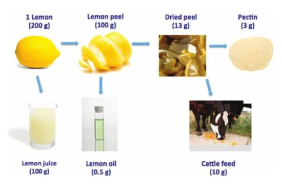 lemon by-products processing