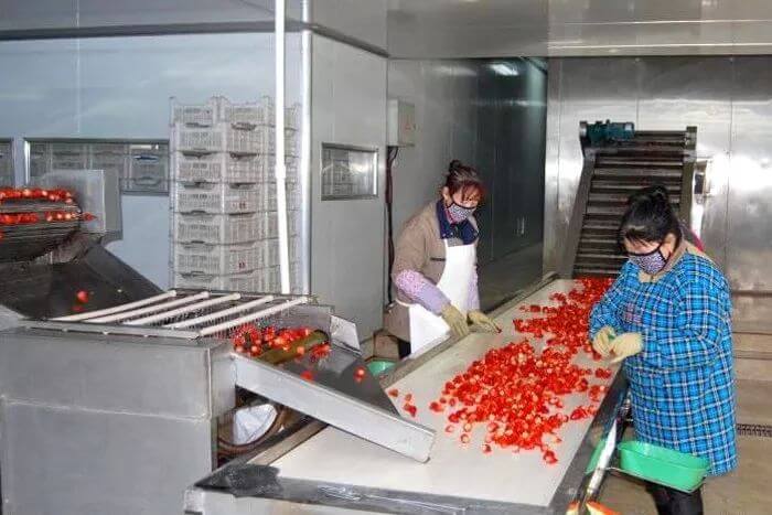 strawberry sorting machine