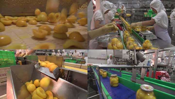 canned fruit packing machine