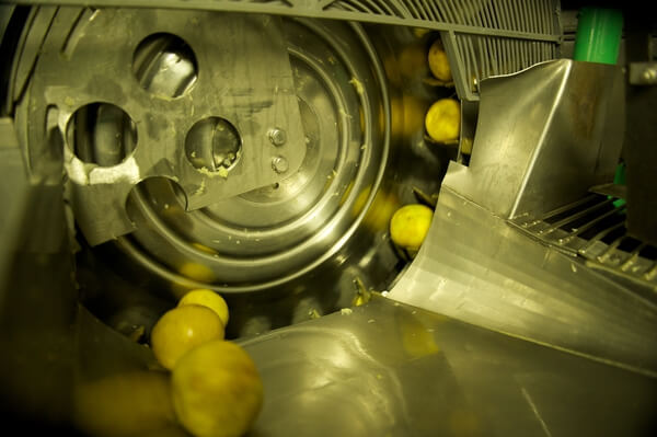 Lemon juice extractor