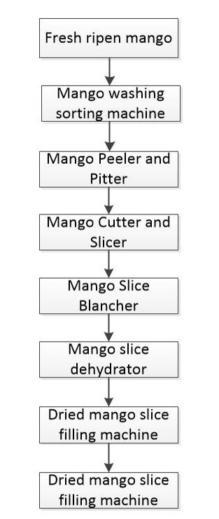 Dried mango chips processing flowchart