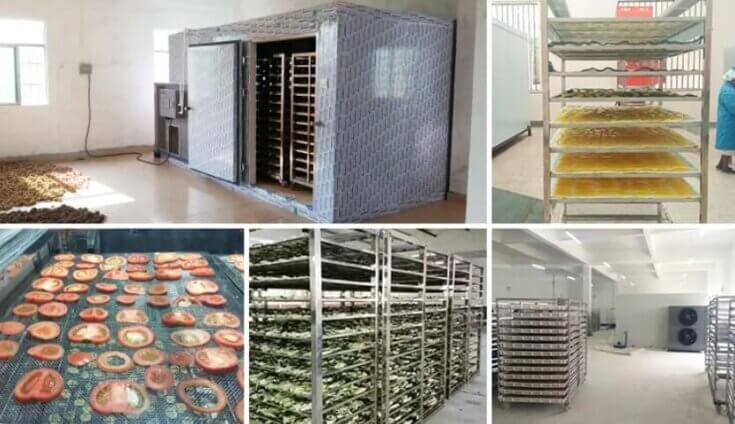 Fruit Drying Technology Introduction - IBC MACHINE