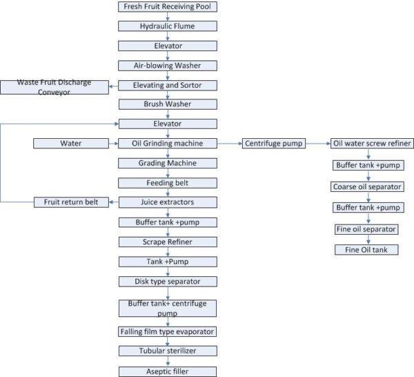 Citrus/Orange Fruit Processing Line | IBC MACHINE