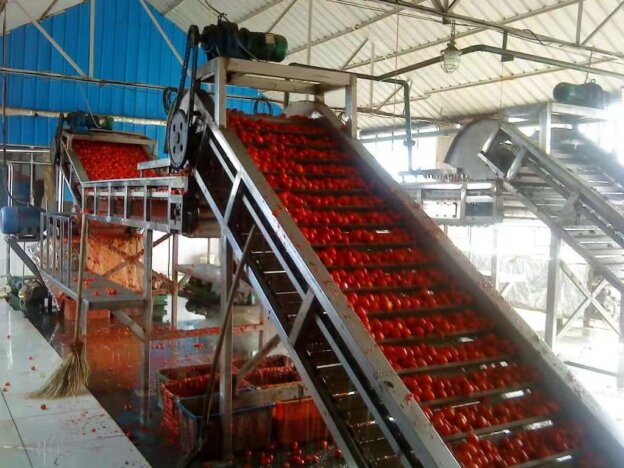 tomato elevator tomato elevator