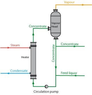 single effect forced circulation evaporator