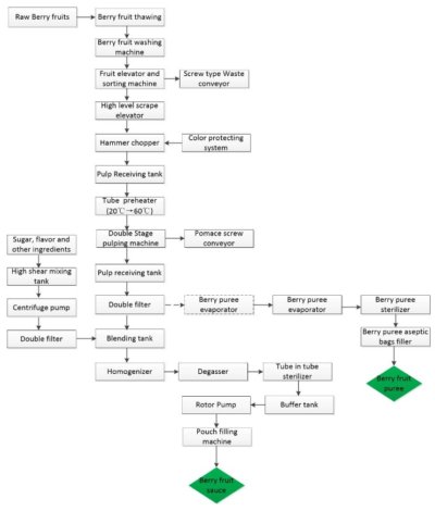 Berry Fruit Processing Line/Machine | IBC MACHINE