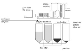 enzyme for juice clarification