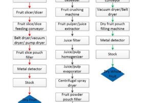 Dry fruit and vegetable processing technological flowchart