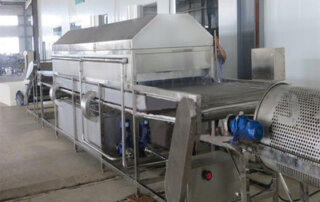 lye fruit peeling machine