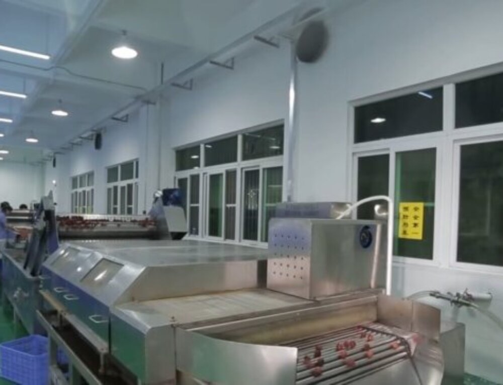 Tomato Paste Processing Line - IBC MACHINE