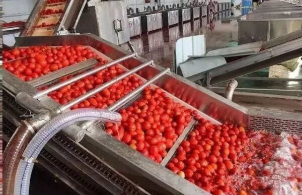 Tomato Paste Processing Equipment - IBC MACHINE