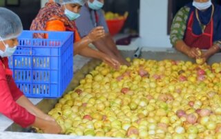 passion fruit washing machine