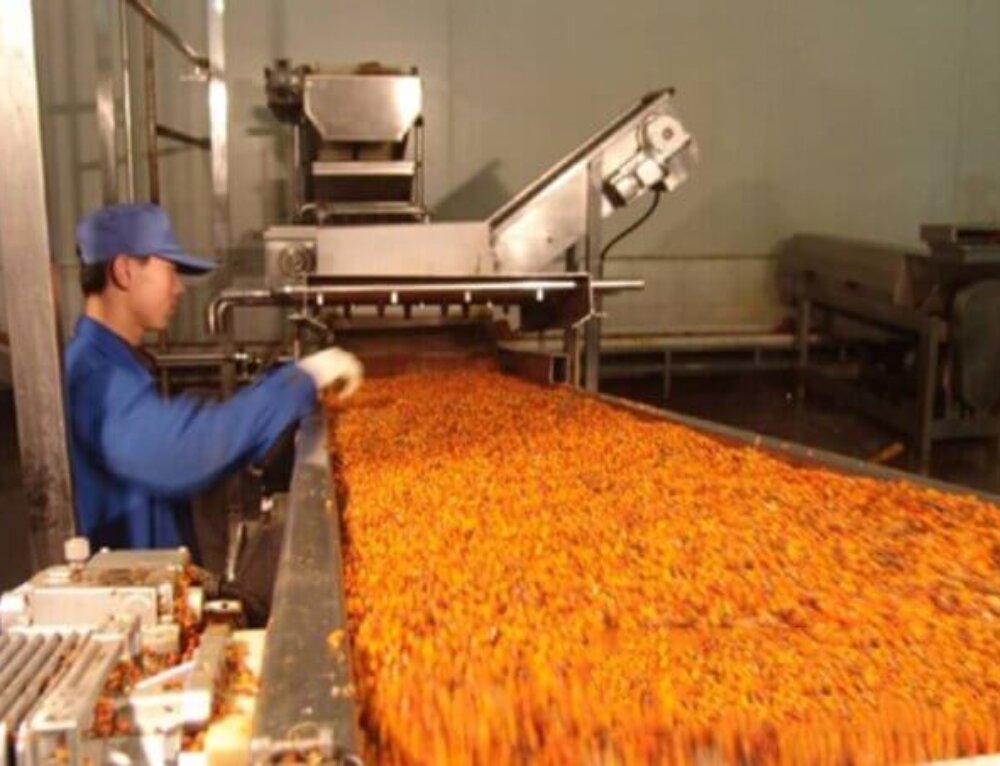Tomato Paste Processing Line - IBC MACHINE