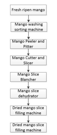 Dried Mango Slices/Chips Processing - IBC MACHINE
