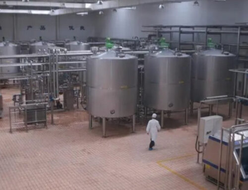 Dairy Processing Plant