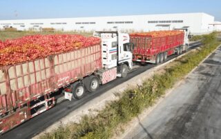 NFC pomegranates juice processing
